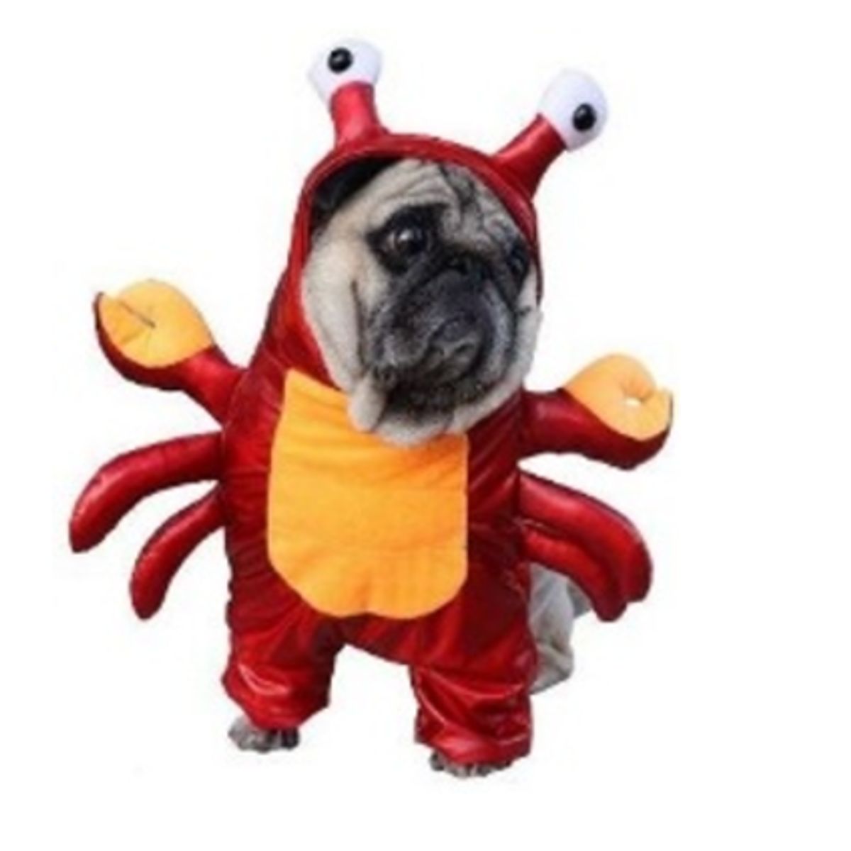 GENERICO - Disfraz para Mascota de Cangrejo - Mediano