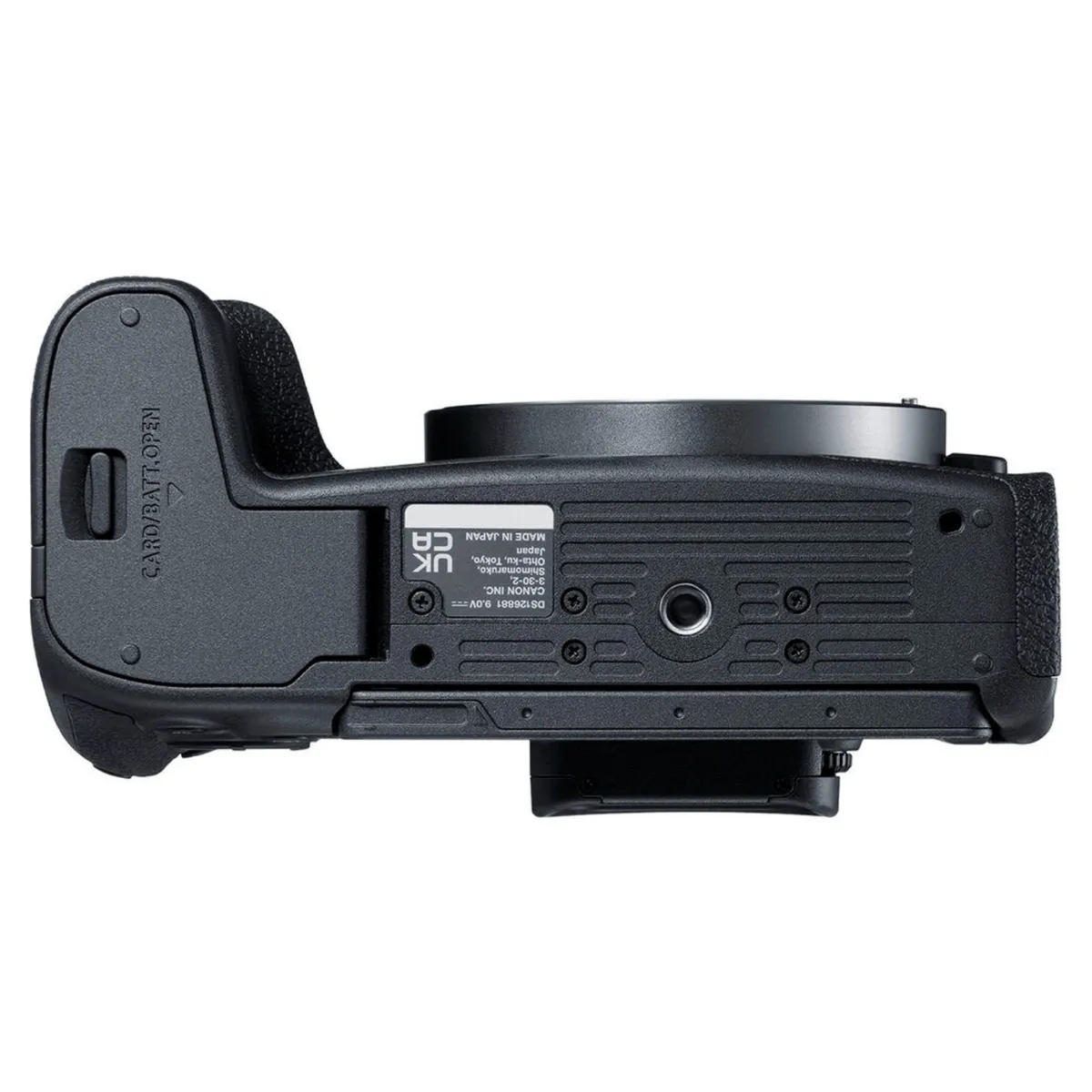 CANON - Cámara Canon EOS R8 Cuerpo solo + Kit Básico de Accesorios