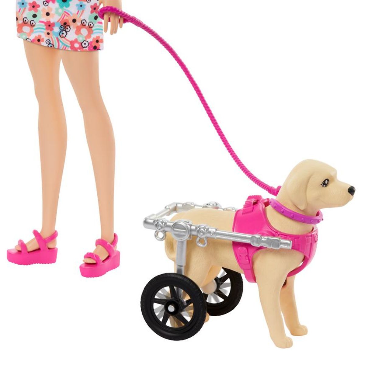 BARBIE - Muñeca Barbie Paseo de Perrito Con Silla de Ruedas