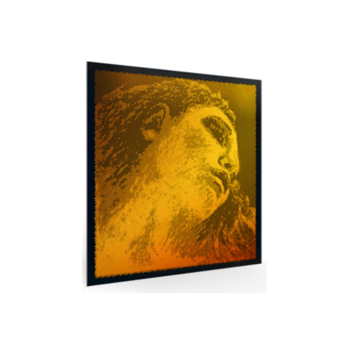 GENERICO - Cuerdas Pirastro Evah Pirazzi Gold 415021 para violín