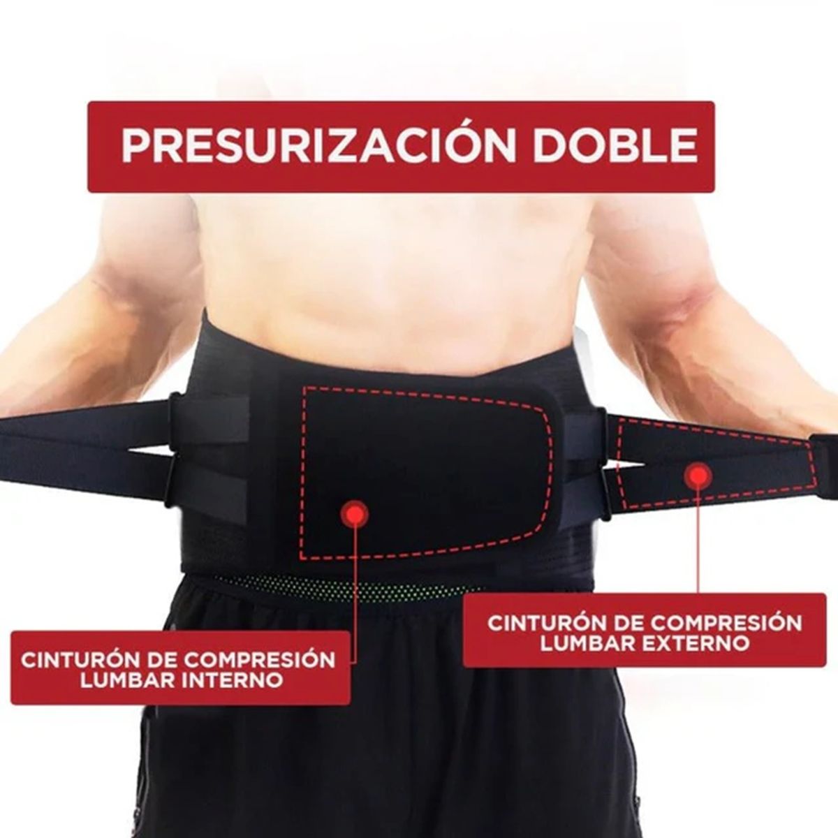 PROIRON - Cinturón de Soporte Lumbar L