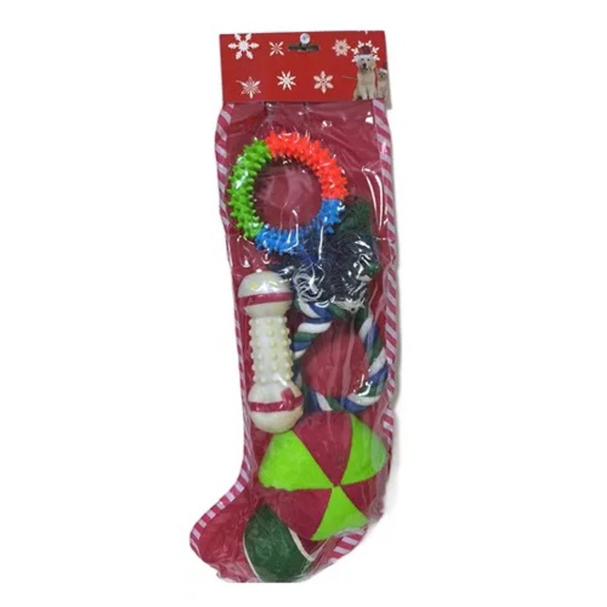 GENERICO - Pack de juguete para perro 5 piezas