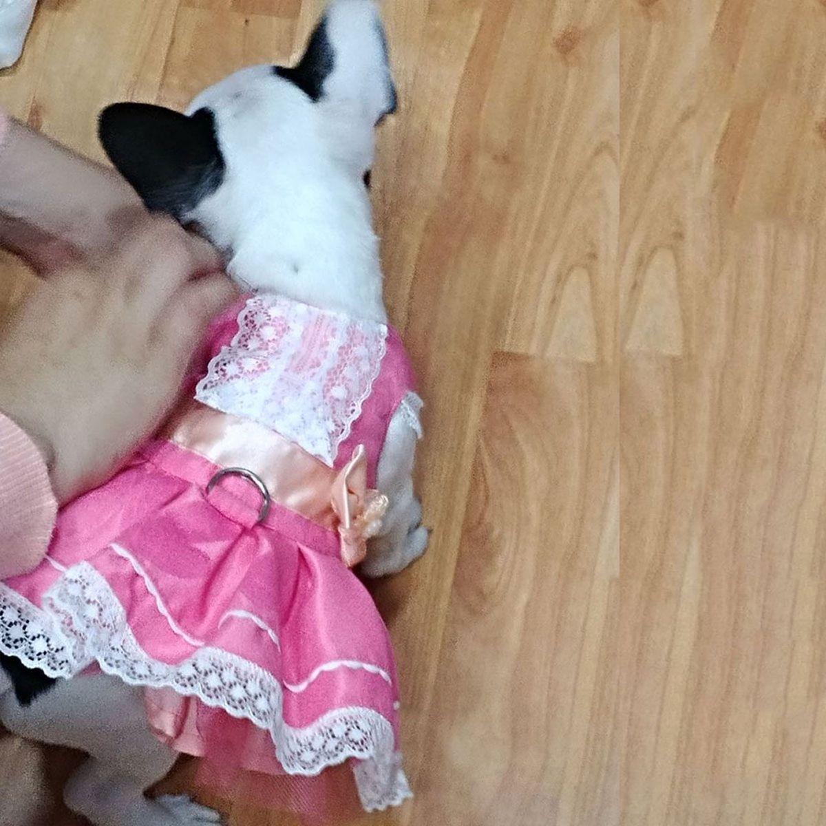 GENERICO - VESTIDO ROSADO DULCE Y LACE COLOR ROSADO TALLA XXL