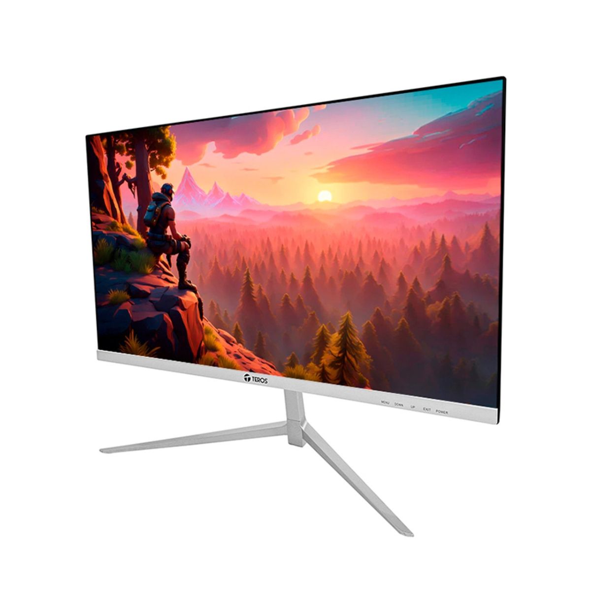 TEROS - Monitor  Teros TE-2124S 22" Full HD IPS, 100HZ, 5MS