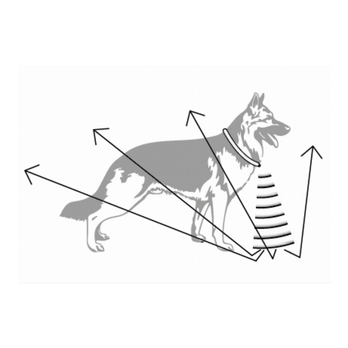 GENERICO - Anti Garrapatas Y Pulgas Radarcan R-132