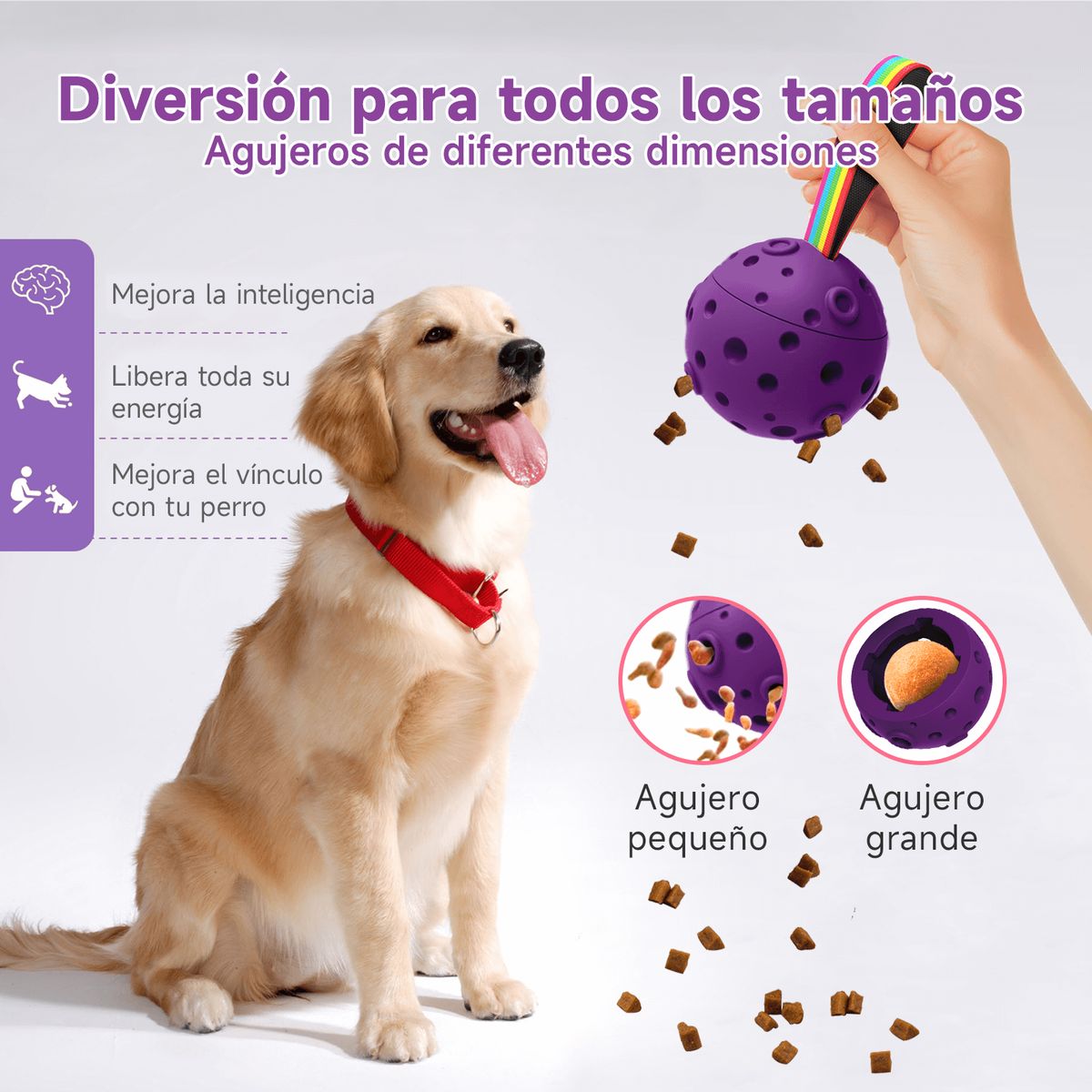 MOMOVIDA - Pelota Masticable Meteorito Morado para Perros DT-6