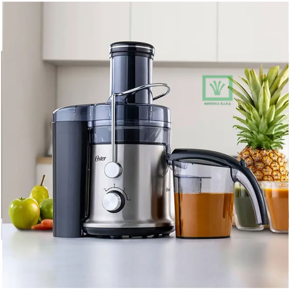 OSTER - EXTRACTOR DE JUGO 600WFPSTJE320S OSTER