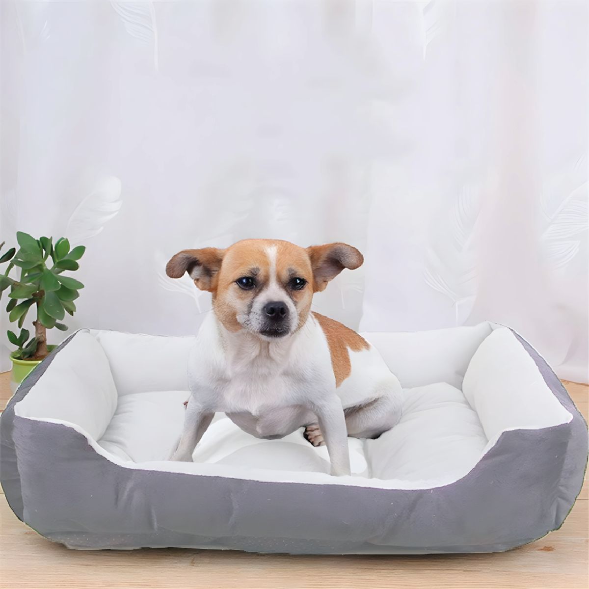 S&T - Cama Para Perros Antideslizante y Lavable Gris - Talla M