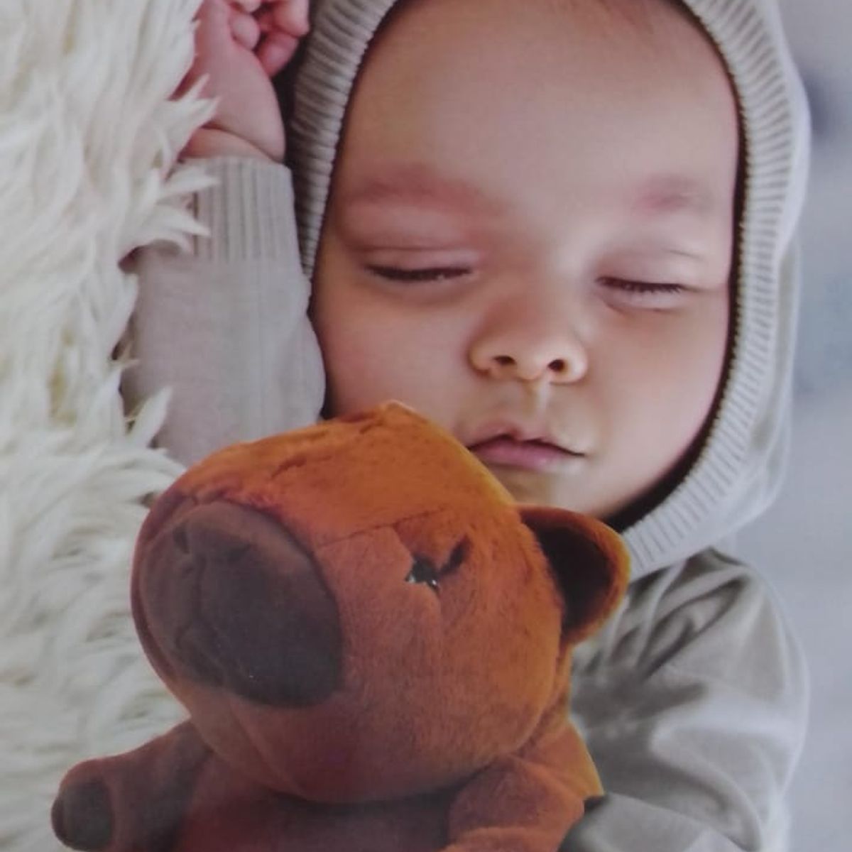 GENERICO - Peluche Capibara Musical y respira A1