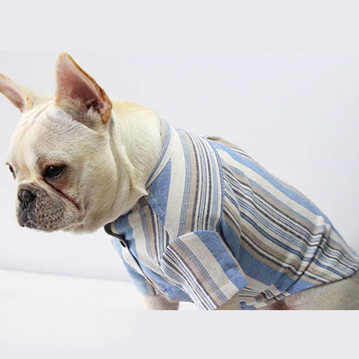 GENERICO - CAMISA MASCOTAS RAYAS CELESTES ALGODÓN TALLA 4XL