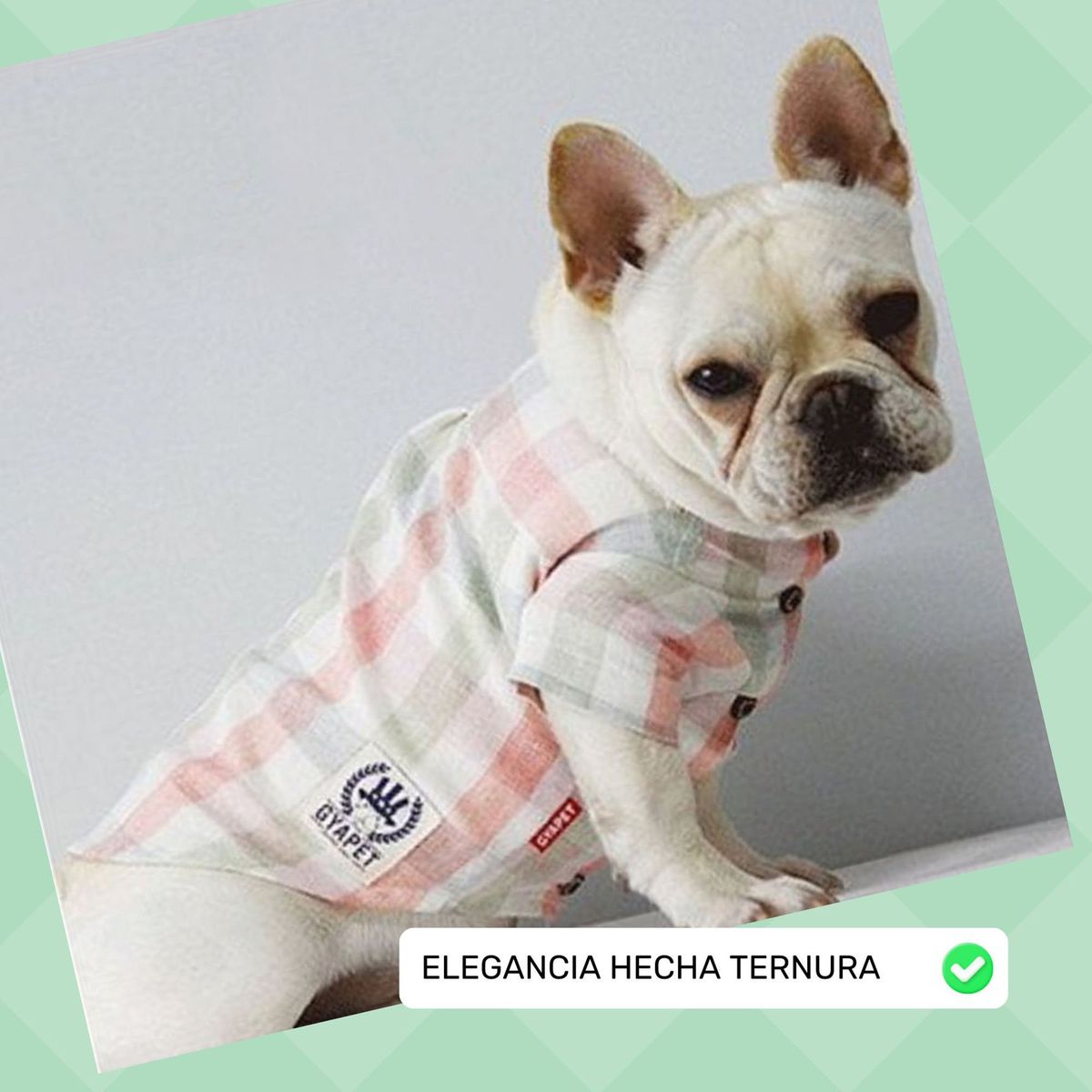 GENERICO - CAMISA MASCOTAS CUADROS VERDE Y ROSA ALGODÓN TALLA L