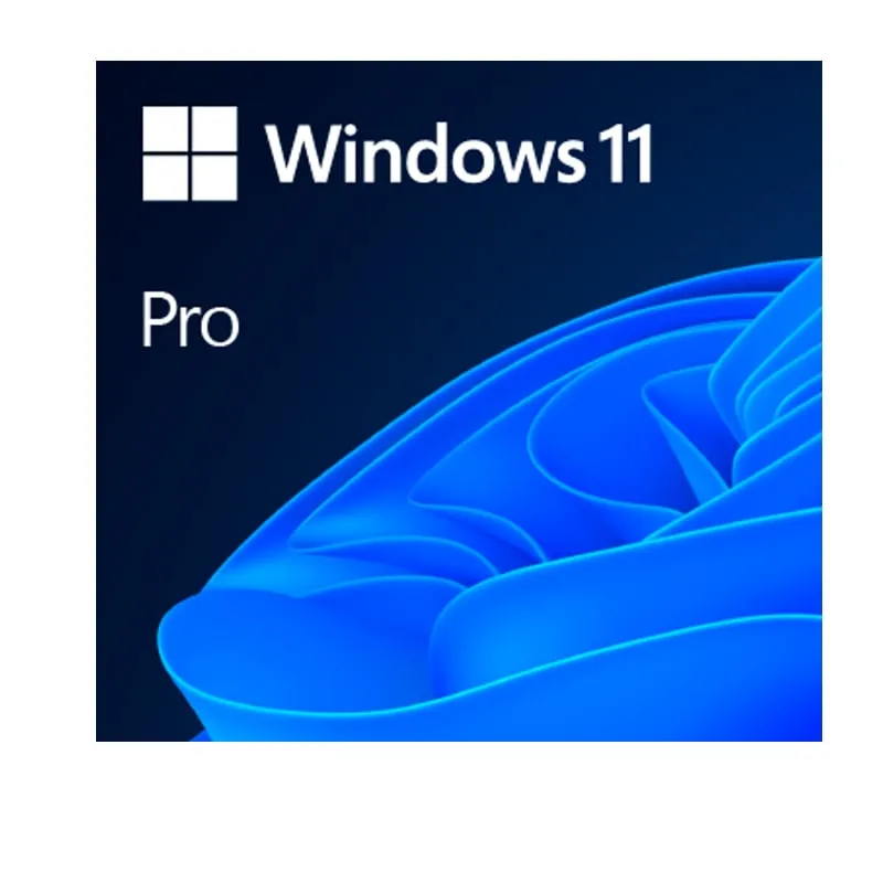 MICROSOFT - Microsoft Windows 11 Pro OEM Global