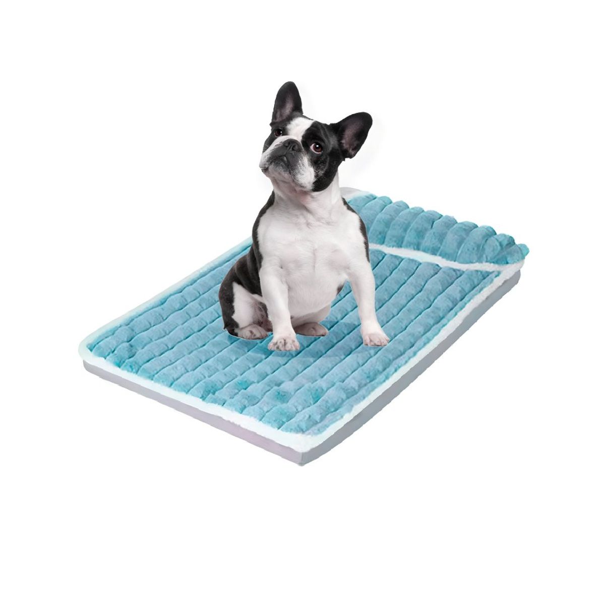 S&T - Cama Colchón Para Perros Funda Extraíble Celeste - Talla L