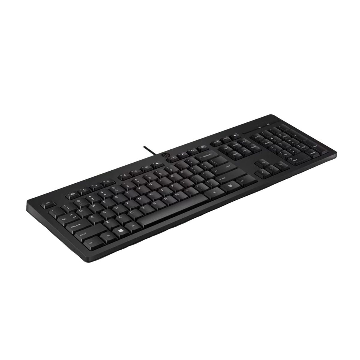 HP - TECLADO HP 125 WIRED CON CABLE PN 266C9AA