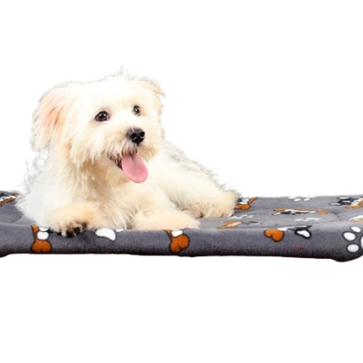 GENERICO - CAMA FLOTANTE EN ALTURA DE ALUMINIO - TALLA S