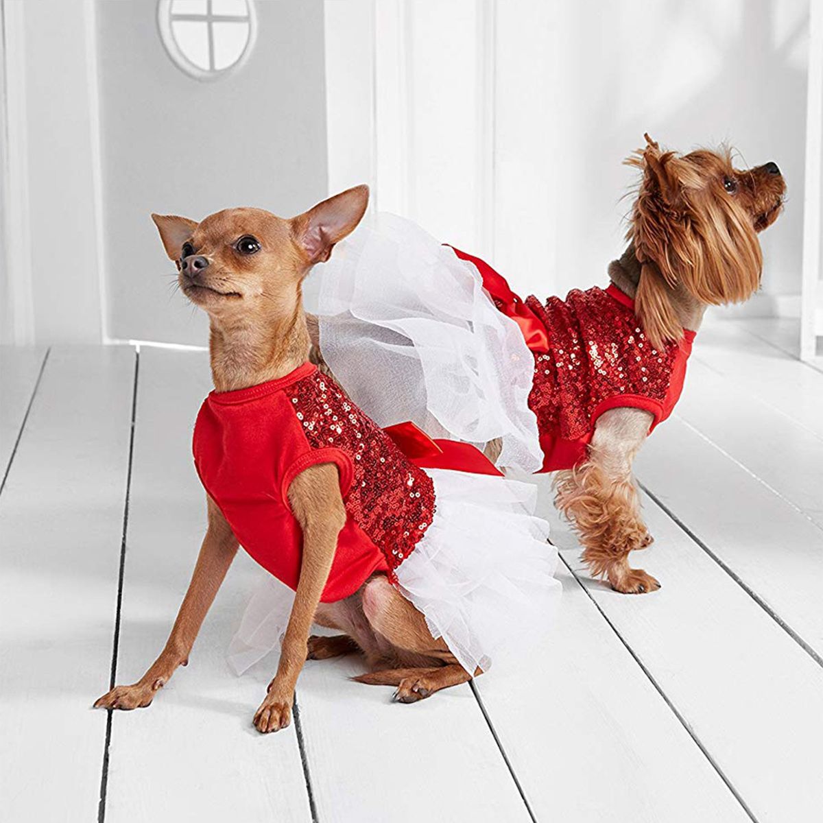 GENERICO - TERNURA BRILLANTE VESTIDO MASCOTAS ROJO-BLANCO TALLA S