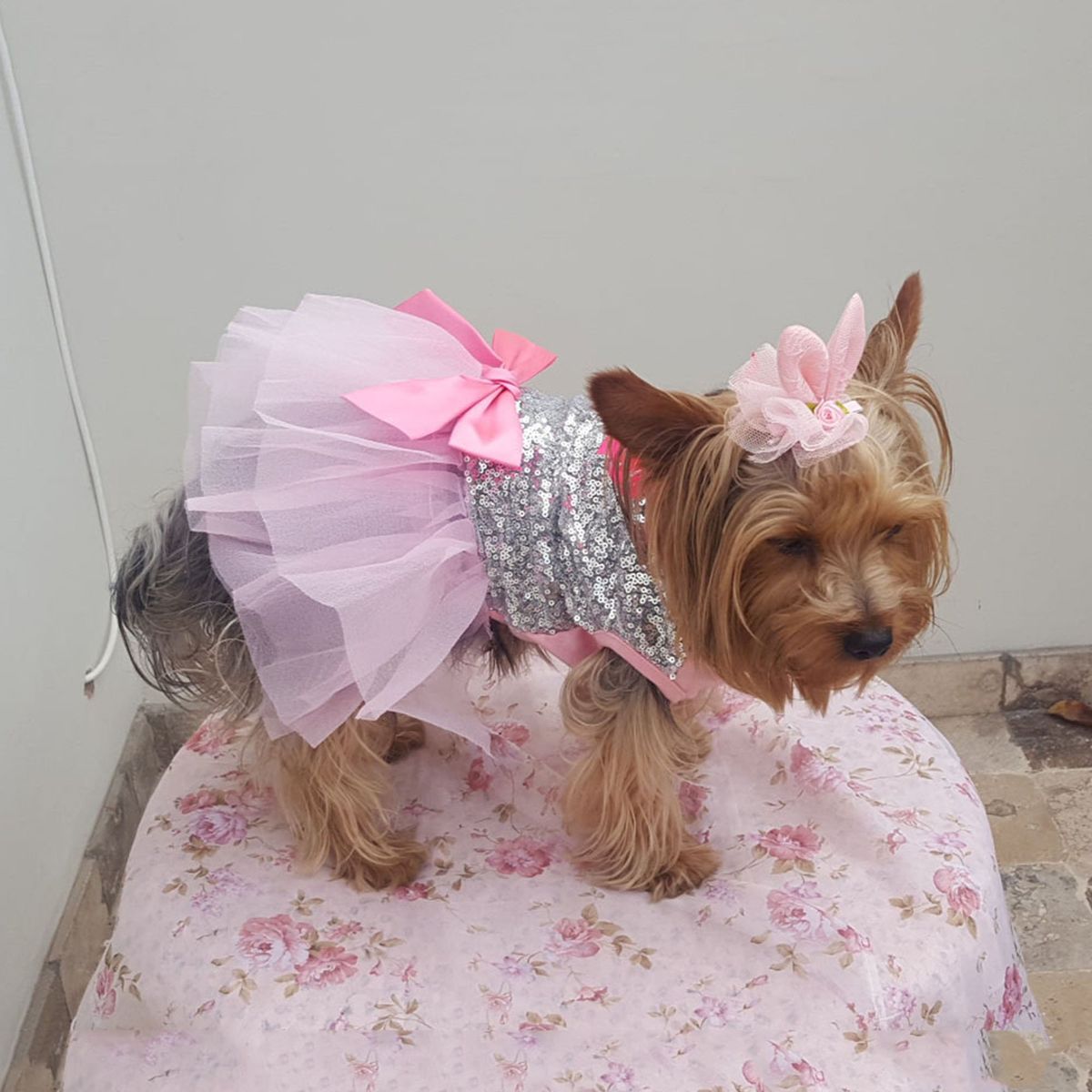 GENERICO - TERNURA BRILLANTE VESTIDO MASCOTAS ROSA-PLATEADO TALLA L