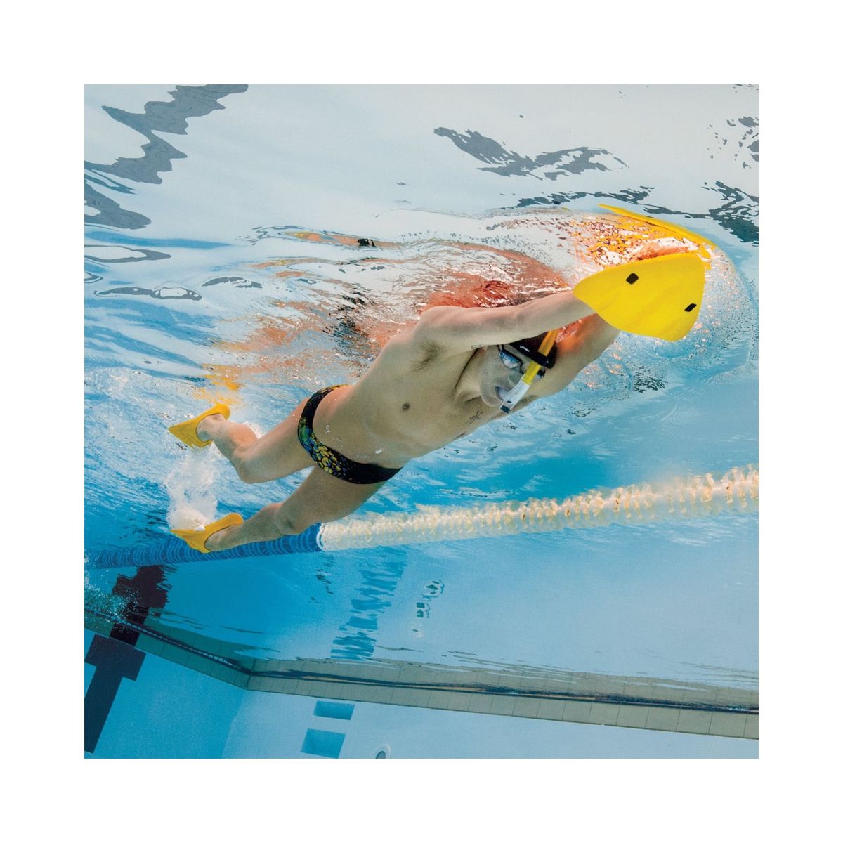 FINIS - Tabla de Alineamiento Finis