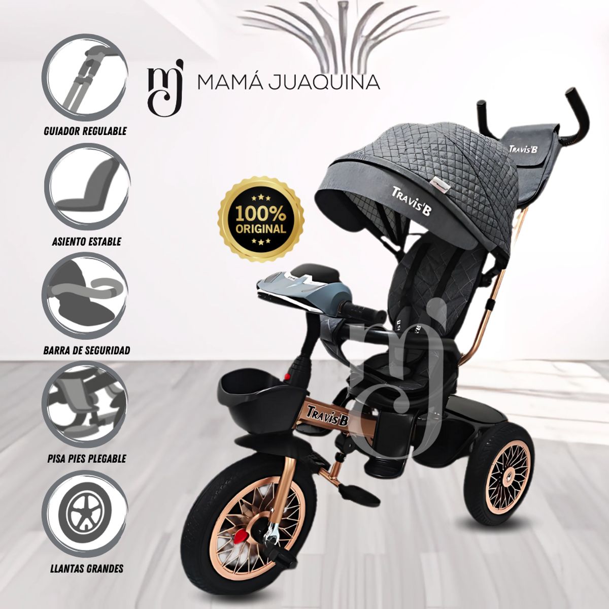 BEAUTIFUL - Triciclo Giratorio de Lujo «TRAVIS II» USB Bluetooth Gray