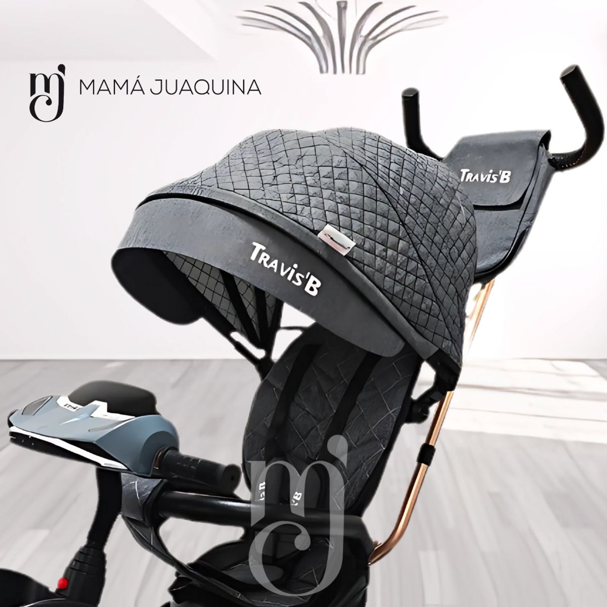 BEAUTIFUL - Triciclo Giratorio de Lujo «TRAVIS II» USB Bluetooth Gray