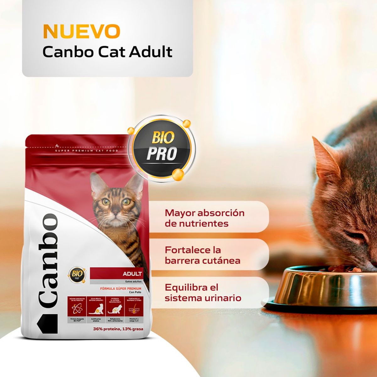 CANBO - Comida para Gatos Adultos Canbo Cat Pollo 3 kg