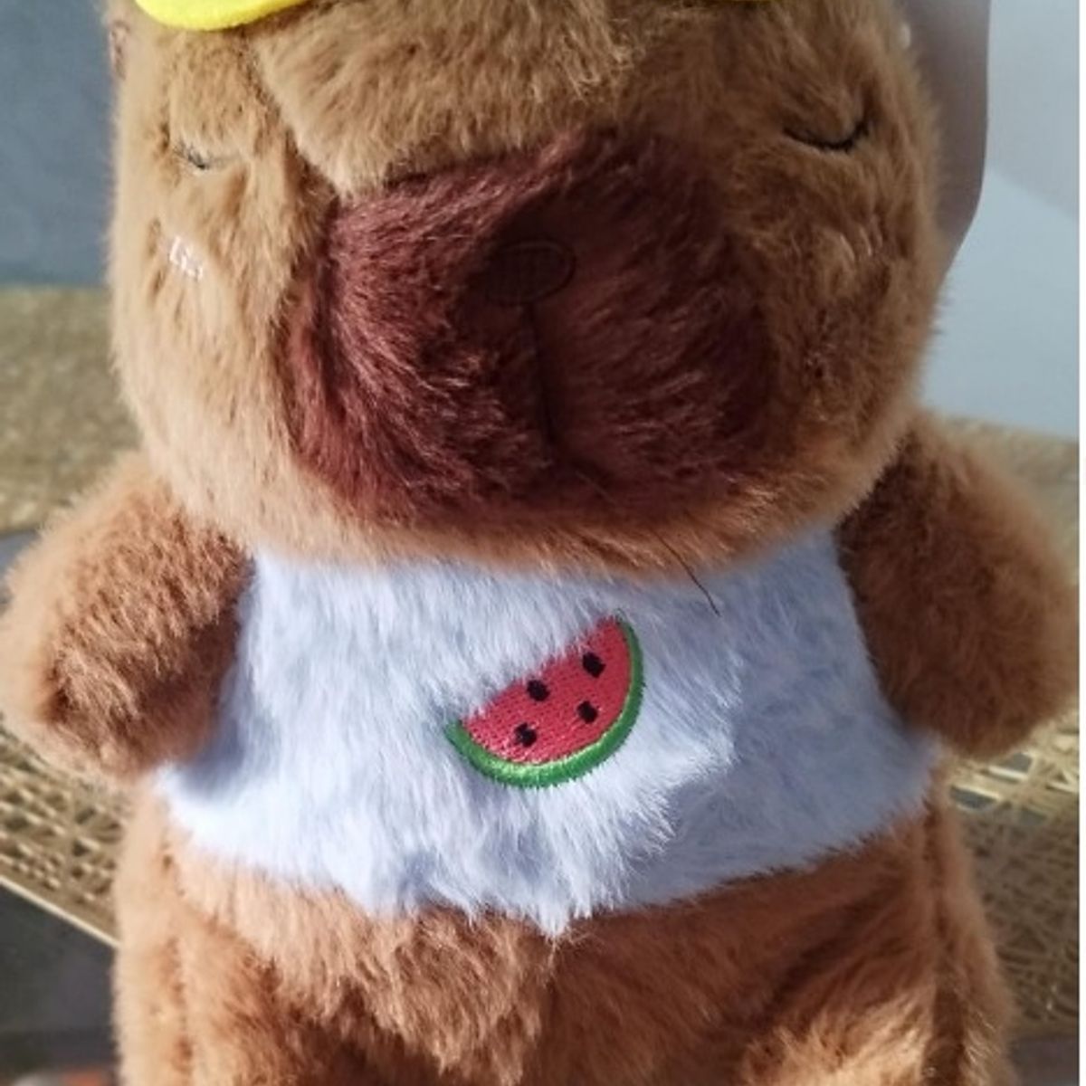 GENERICO - CAPIVARA PLAYERO