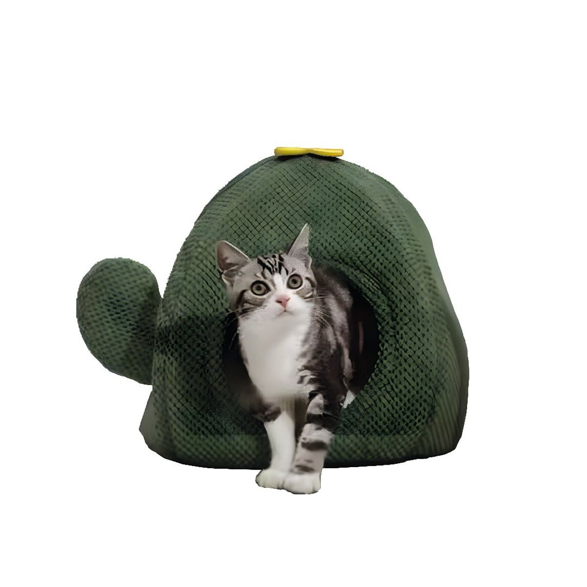 S&T - Cama Cactus Cueva Para Gatos Chenille Verde Oscuro
