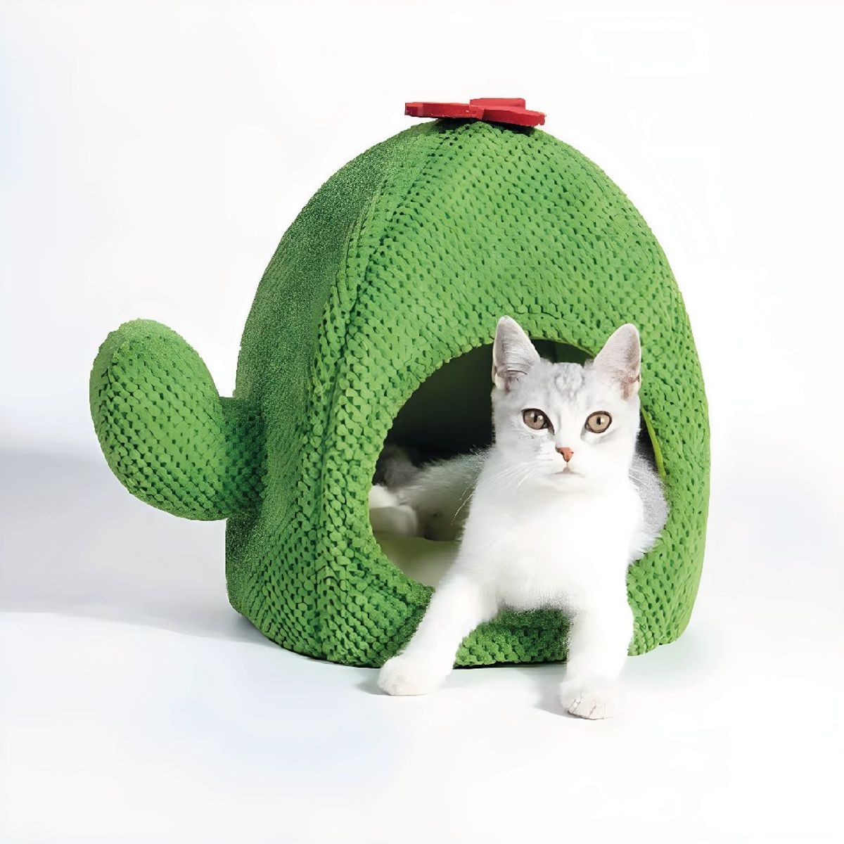 S&T - Cama Cactus Cueva Para Gatos Chenille Verde
