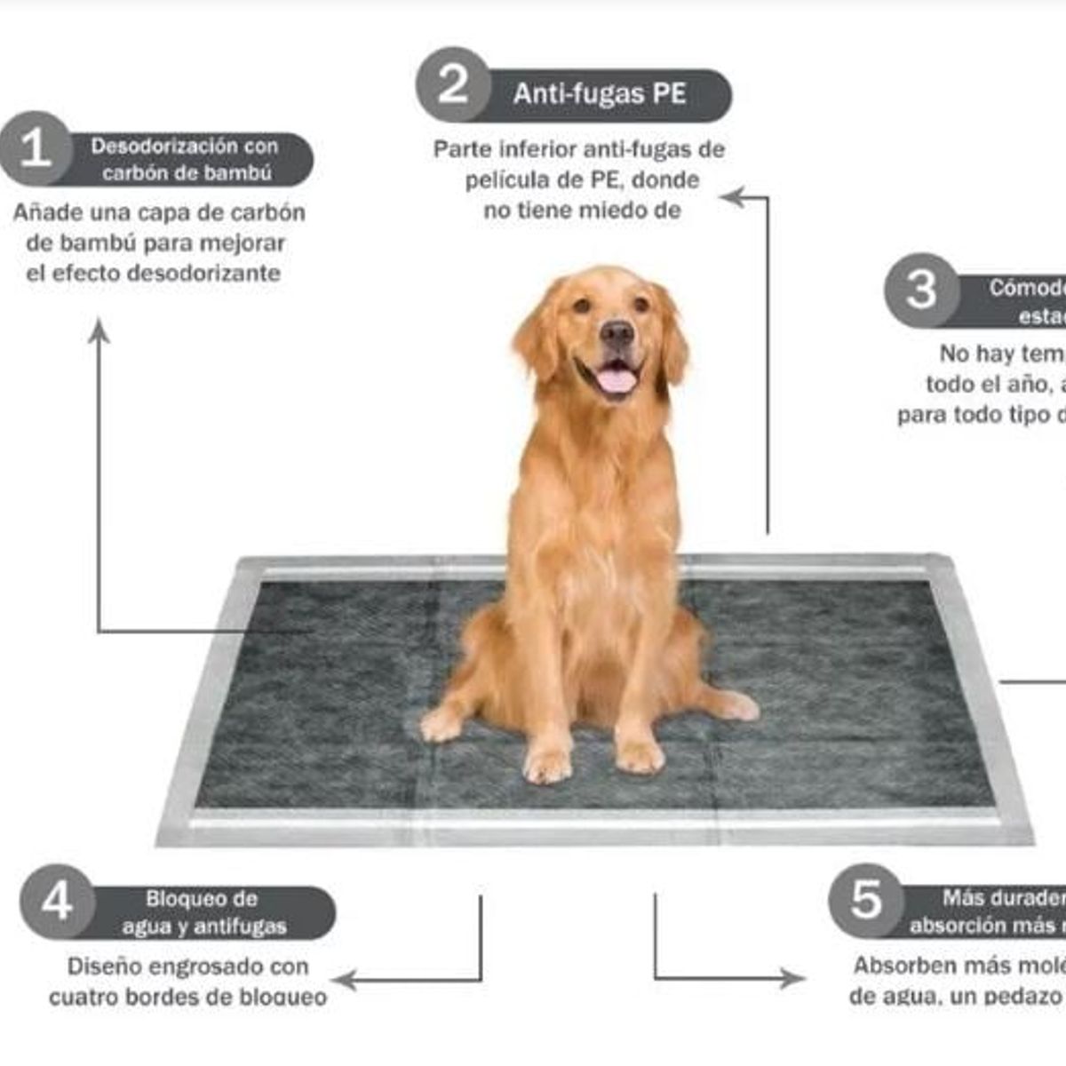 GENERICO - Pañales para piso mascotas talla L carbón activado premiun