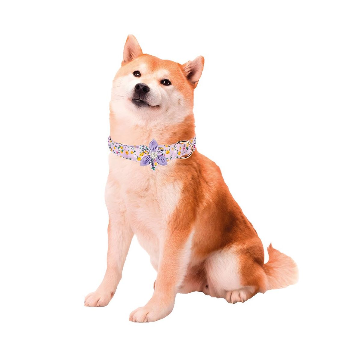 S&T - Collar Floral Para Mascotas Lila - Talla M