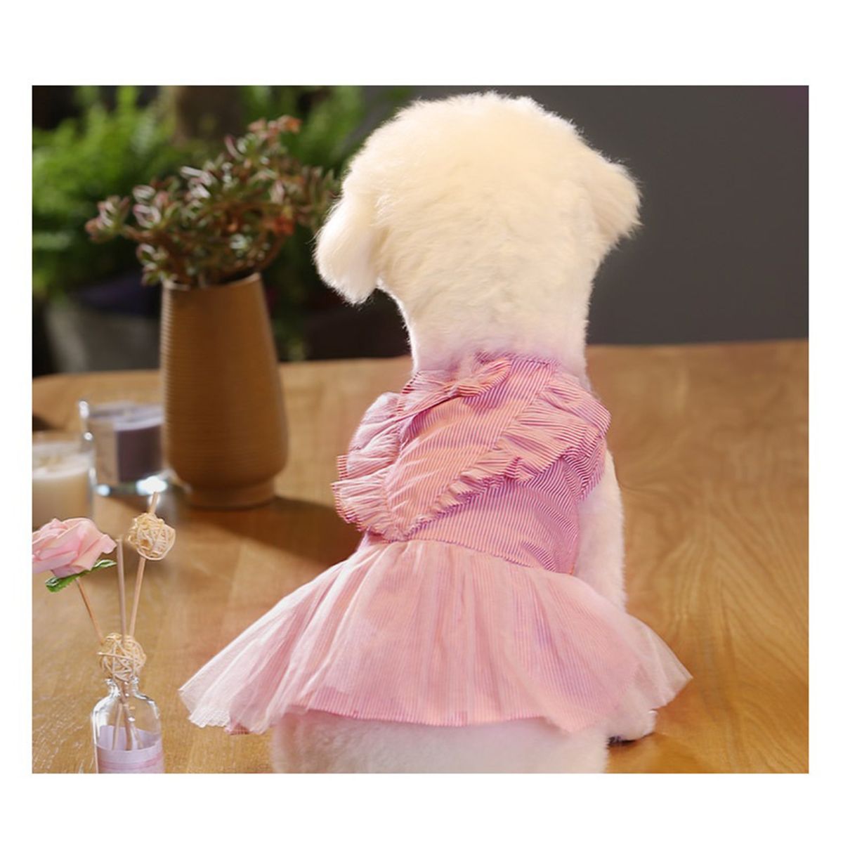 GENERICO - VESTIDO MASCOTA TUL RAYAS Y RUFFLE RAYAS ROJAS TALLA XXL