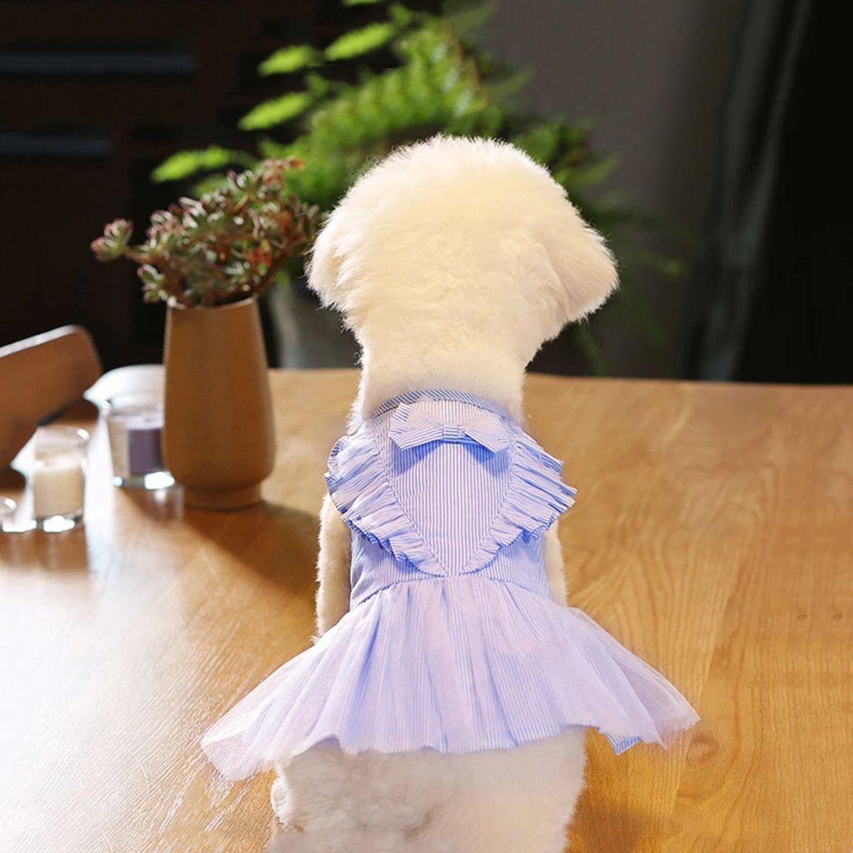 GENERICO - VESTIDO MASCOTA TUL RAYAS Y RUFFLE RAYAS AZULES TALLA S