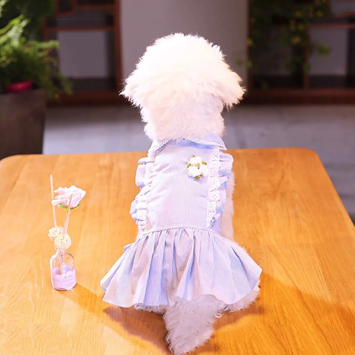 GENERICO - VESTIDO MASCOTA RAYAS AZULES Y RUFFLE RECTO TALLA XL