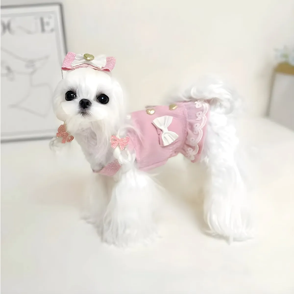 S&T - Ropa Para Perros Vestido Lazos Rosado - Talla XS