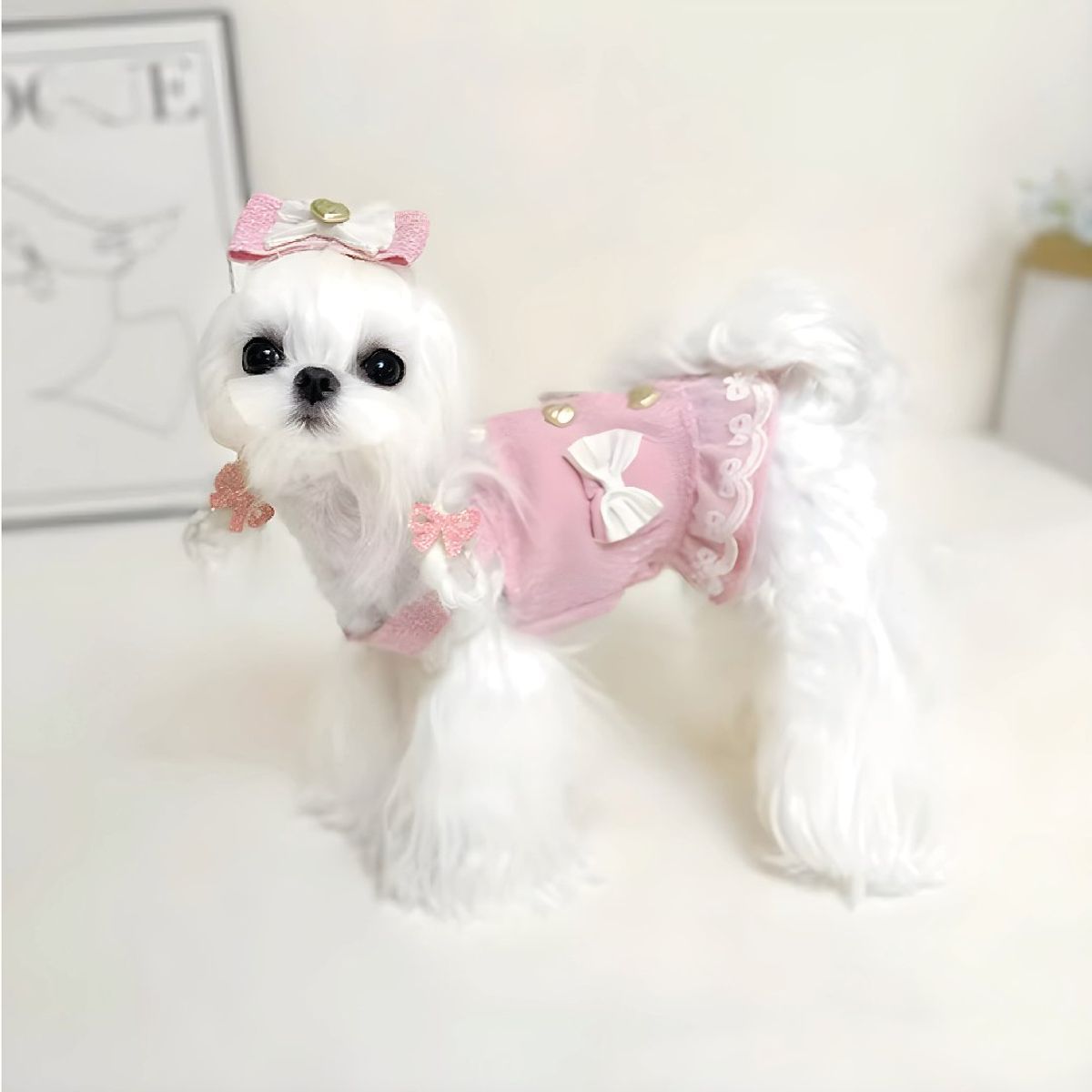 S&T - Ropa Para Perros Vestido Lazos Rosado - Talla XL