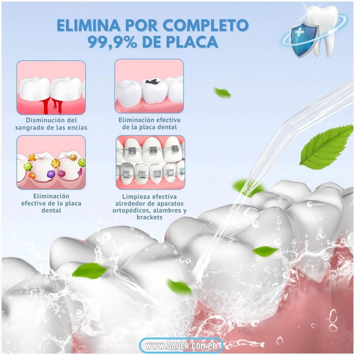 DAUER - Irrigador Dental Profesional 7Boquillas 1000ml Limpieza dental 10nivel