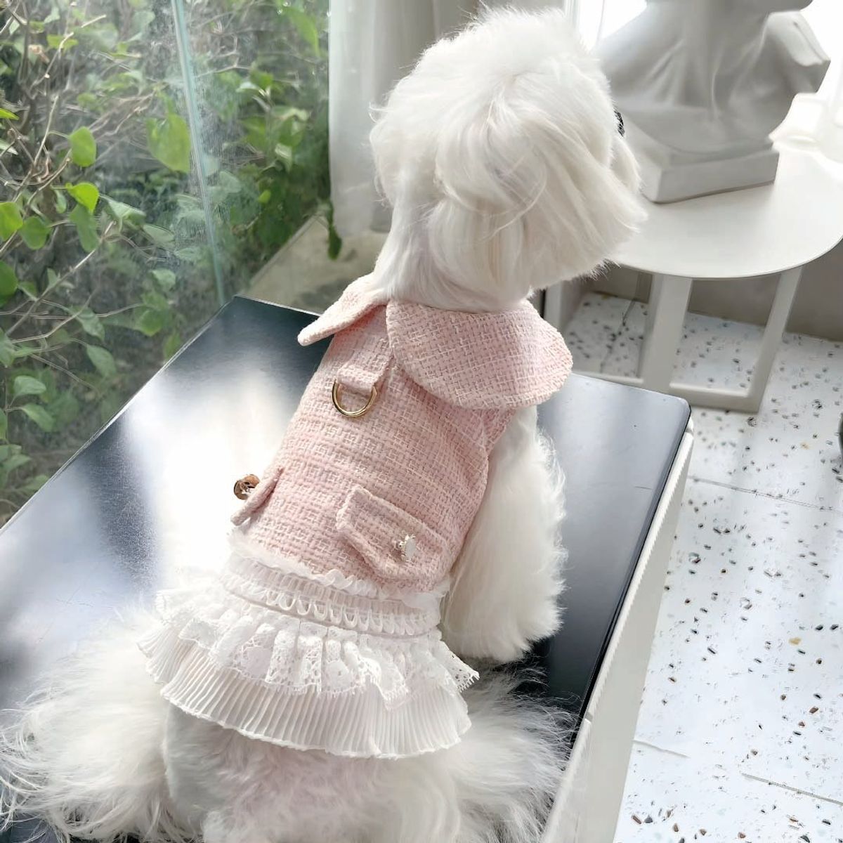 S&T - Ropa Para Perros Vestido Falda Plisada Rosado - Talla XL