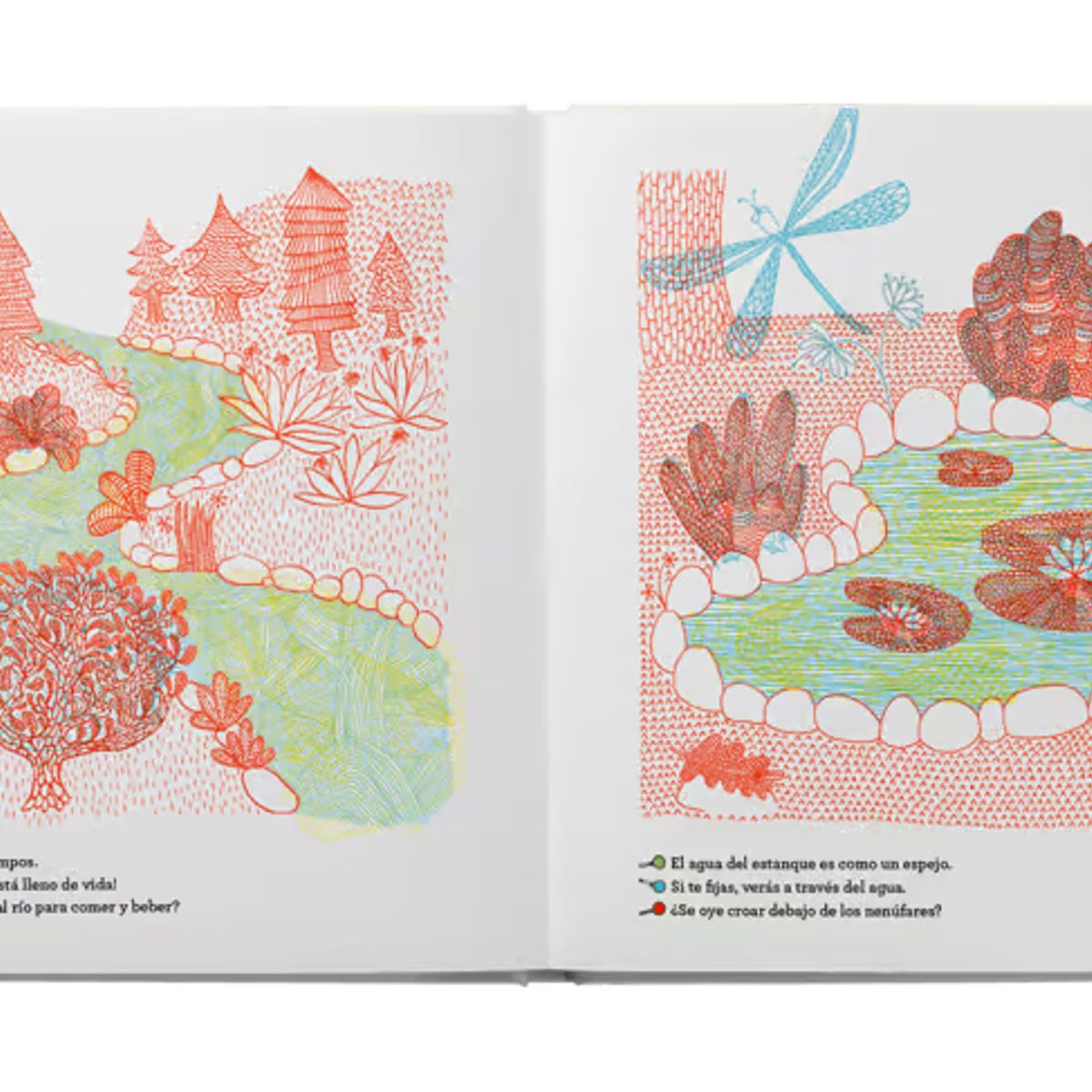 GENERICO - Libro Infantil ¿Qué se esconde dentro del bosque