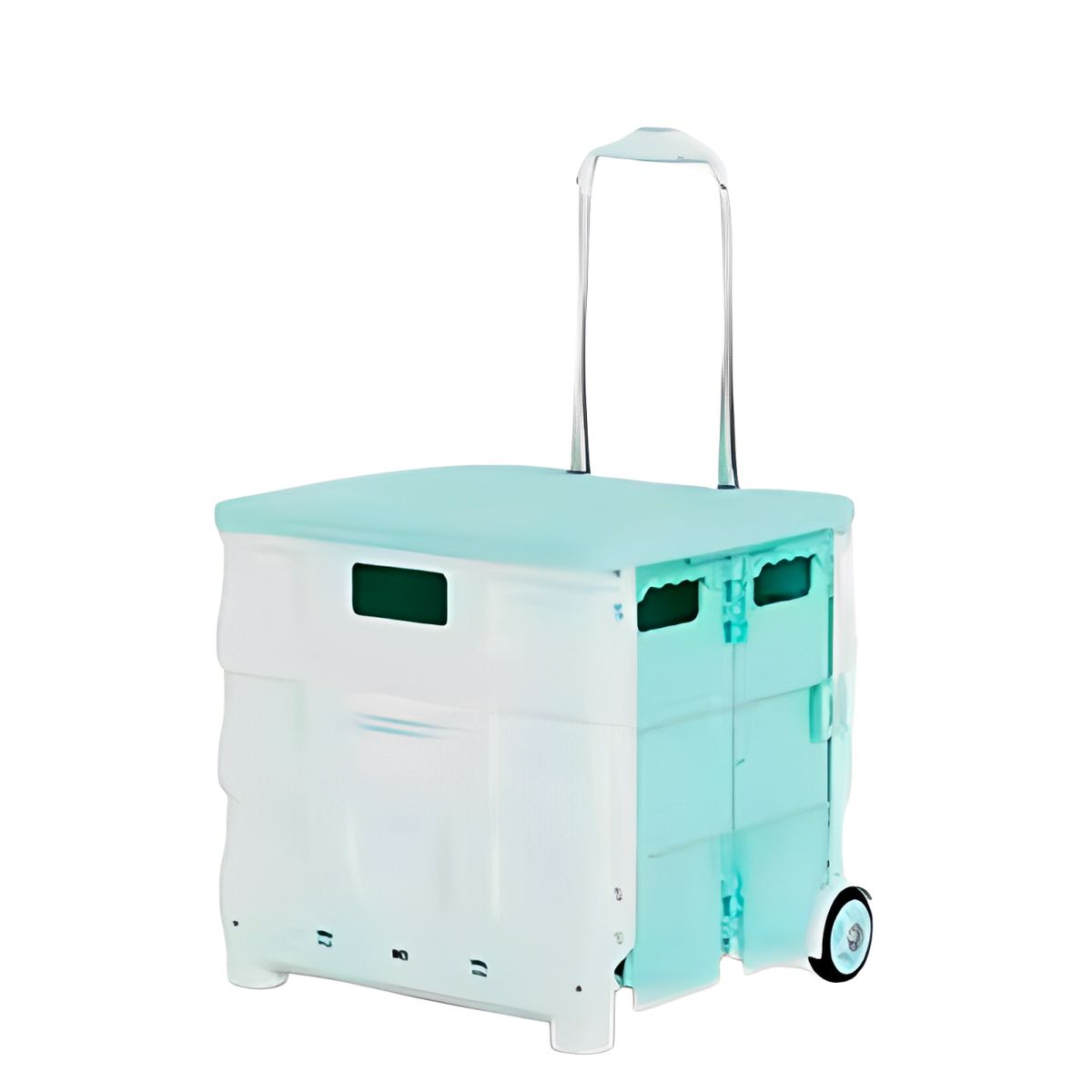 GENERICO - CARRO DE COMPRAS PEGABLES 2 RUEDAS