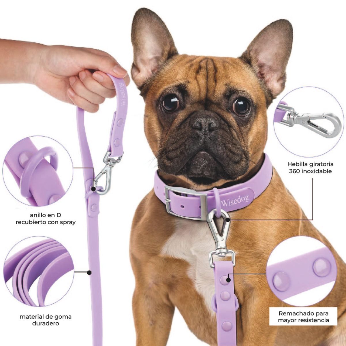 S&T - Correa y Collar PVC Impermeable Para Perros Lila - Talla S