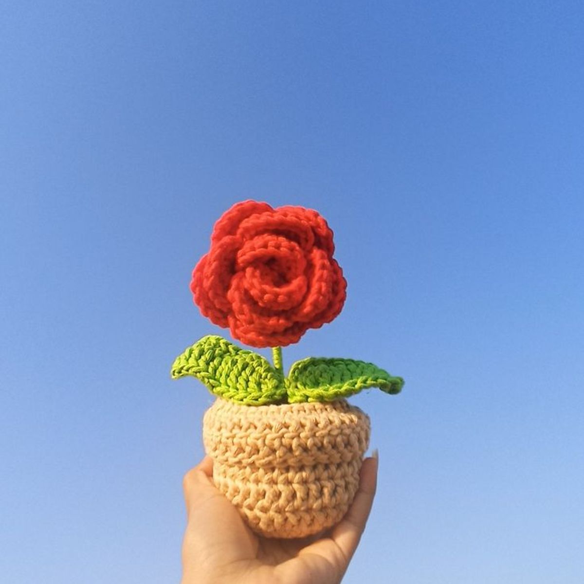 GENERICO - Peluking - Maseta Crochet