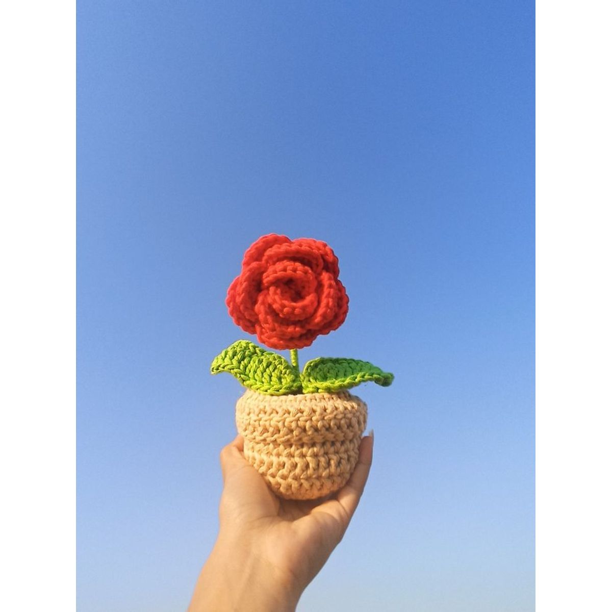 GENERICO - Peluking - Maseta Crochet