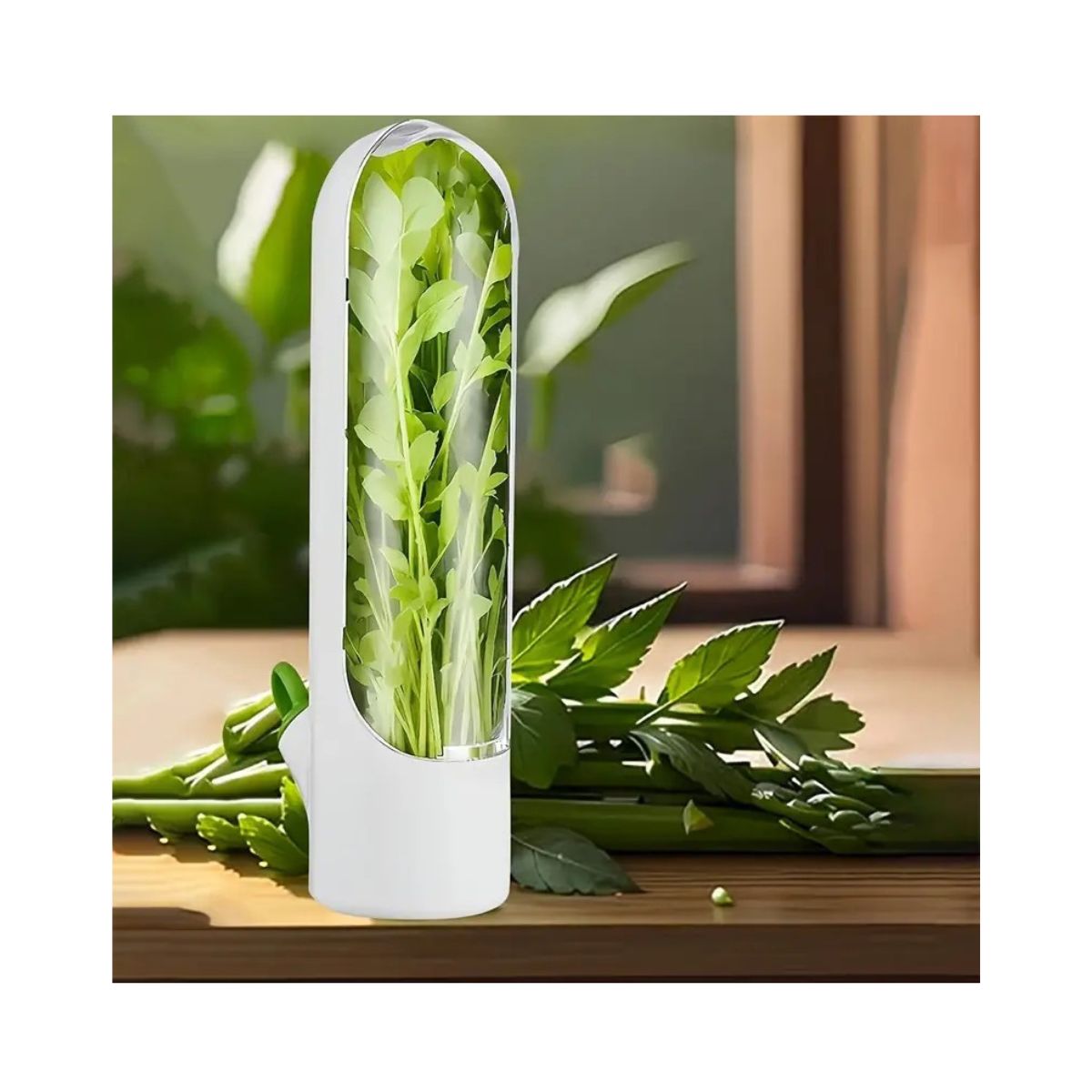 GENERICO - Conservador de hierbas y verduras Herb Saver