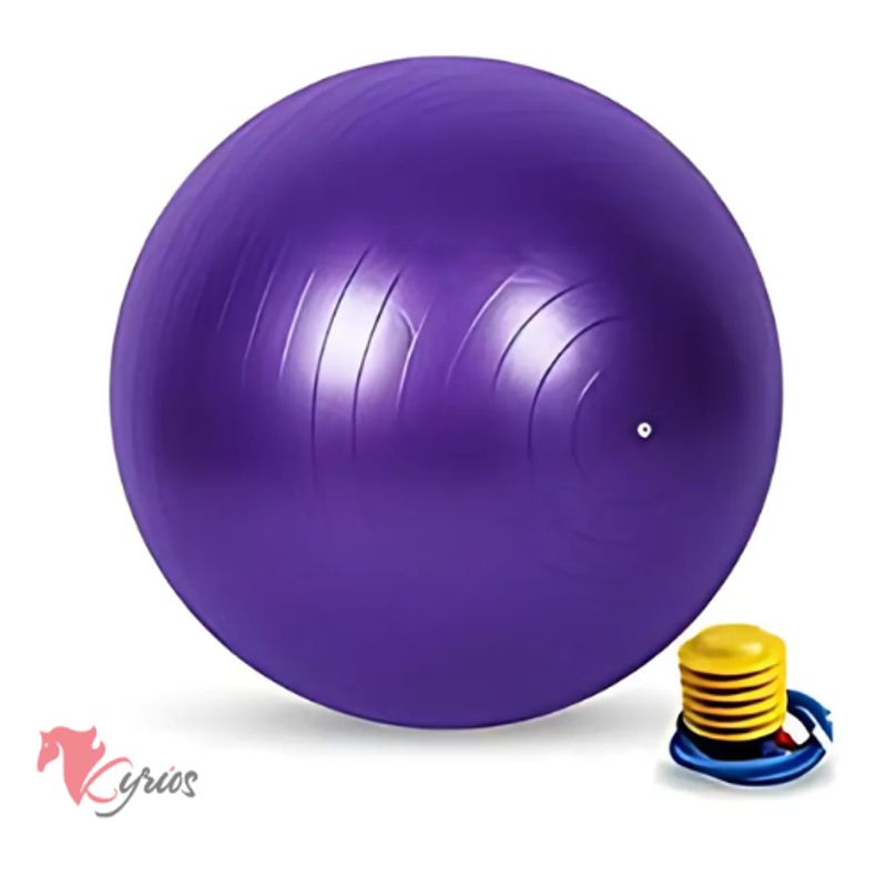 NO LOGO - Pelota De Yoga 45 CM Color Morado