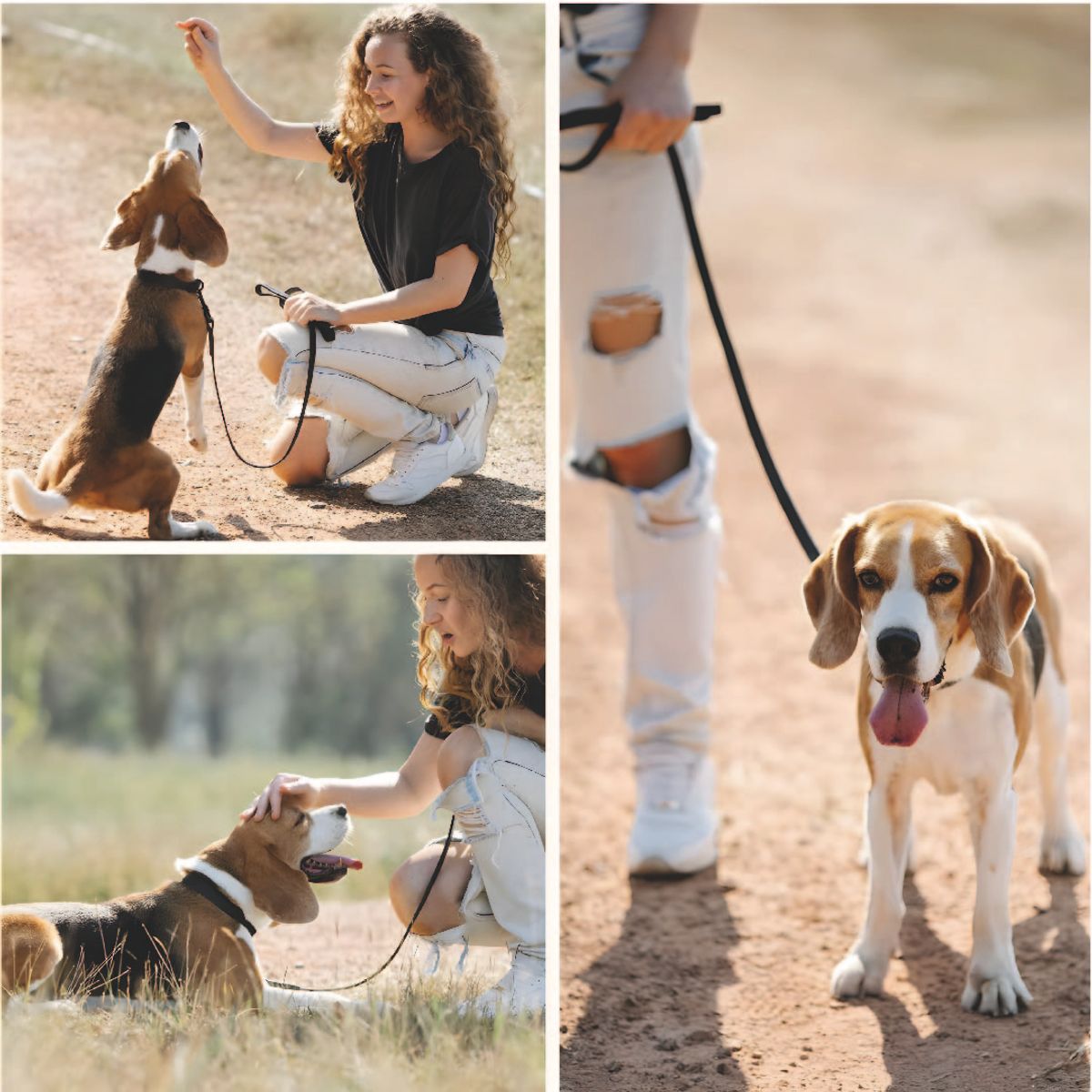 S&T - Correa y Collar PVC Impermeable Para Perros Negro - Talla S