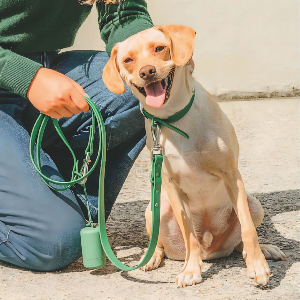 S&T - Correa y Collar PVC Impermeable Para Perros Verde - Talla S