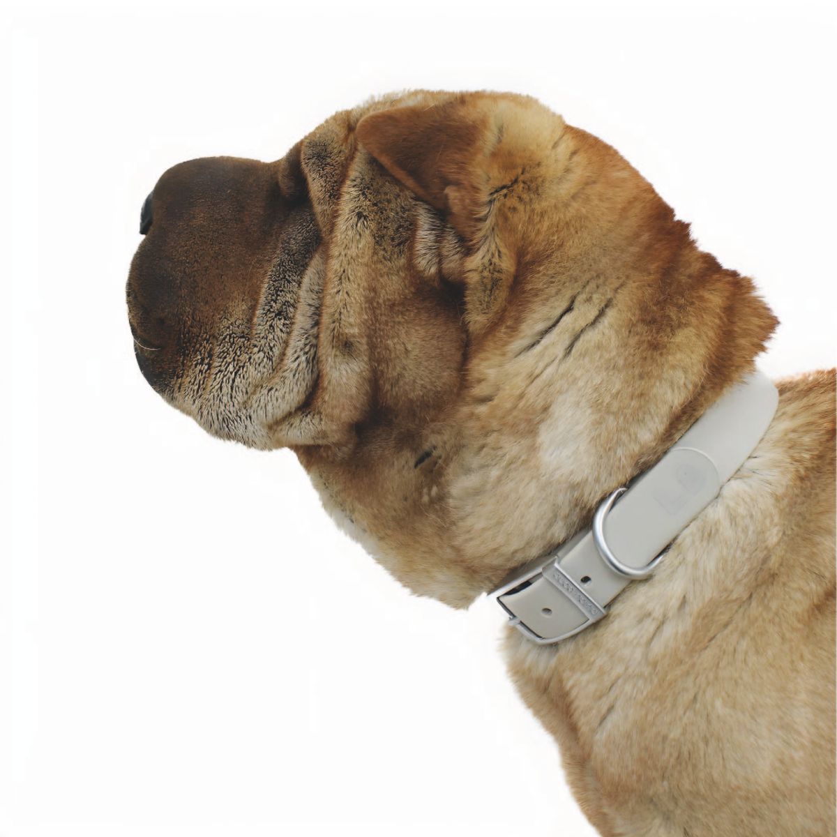 S&T - Collar Para Perros PVC Impermeable Gris - Talla S