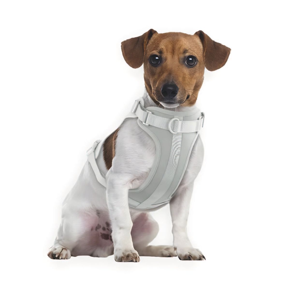 S&T - Pechera Para Perros Nailon Ajustable Gris - Talla S