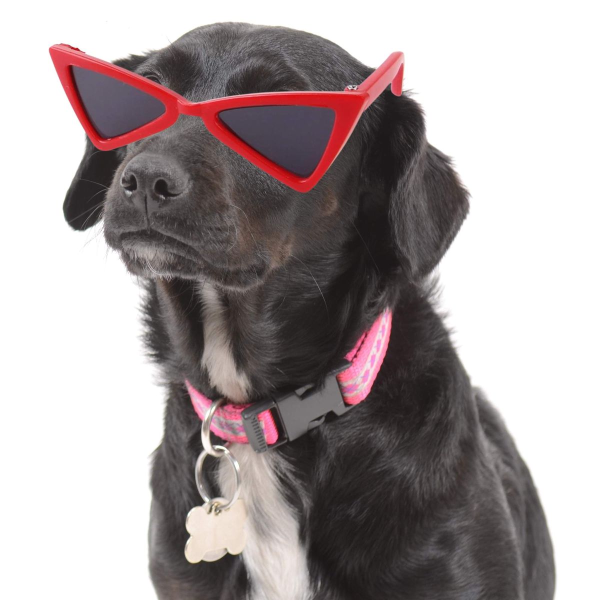 LENTES PARA MASCOTAS, marca GENERICO - Foto Principal