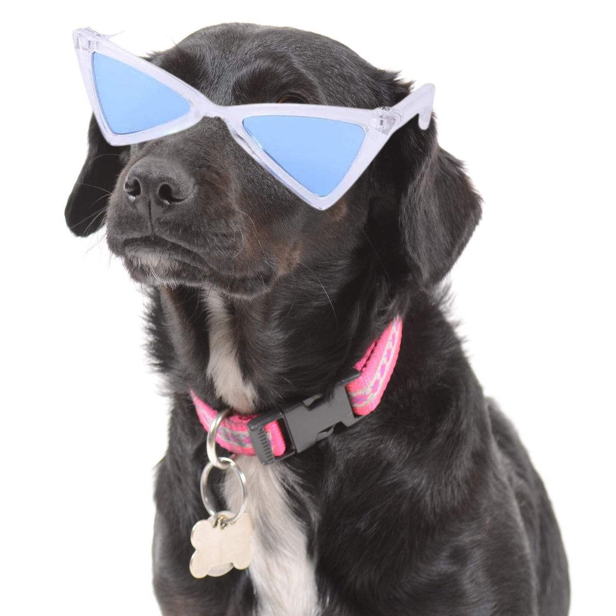 GENERICO - LENTES PARA MASCOTAS